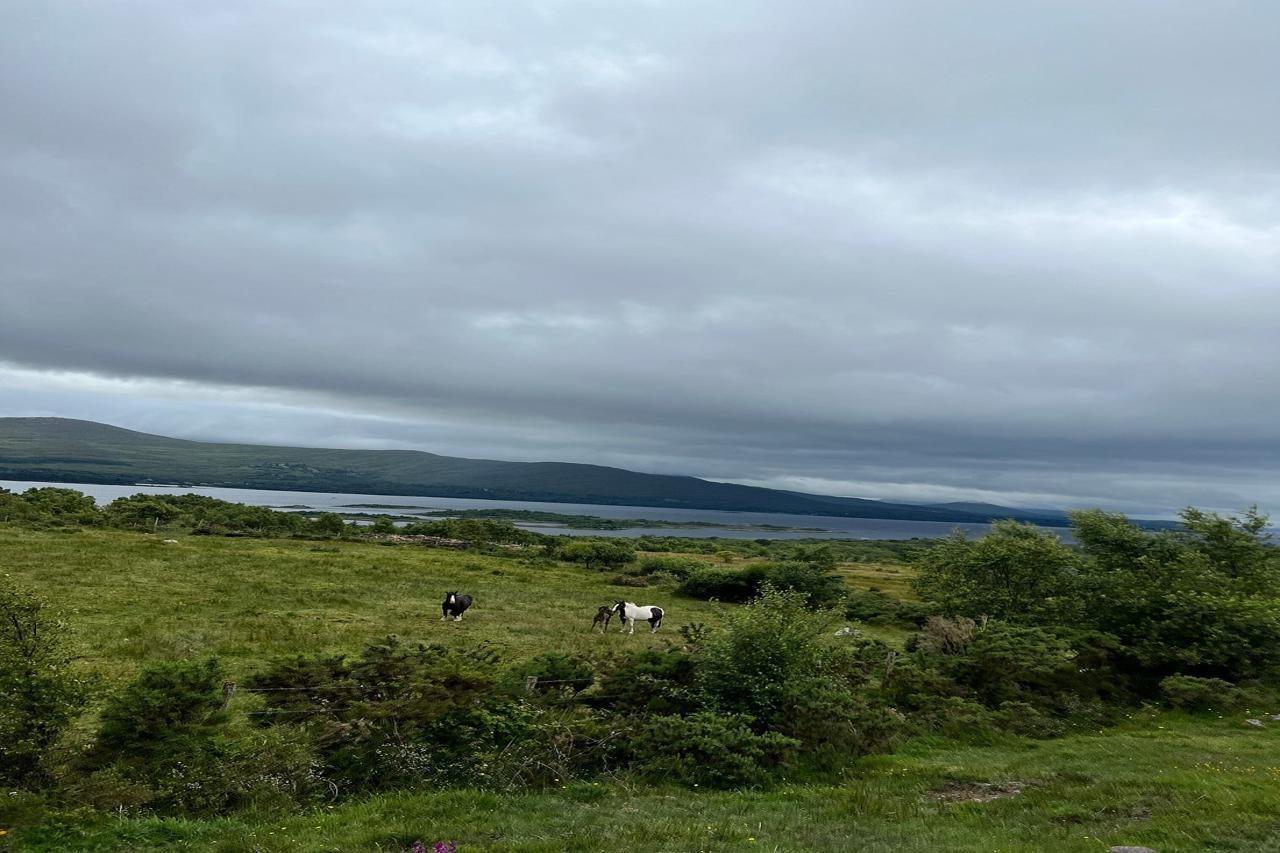 Kenmare House Hotel Luaran gambar